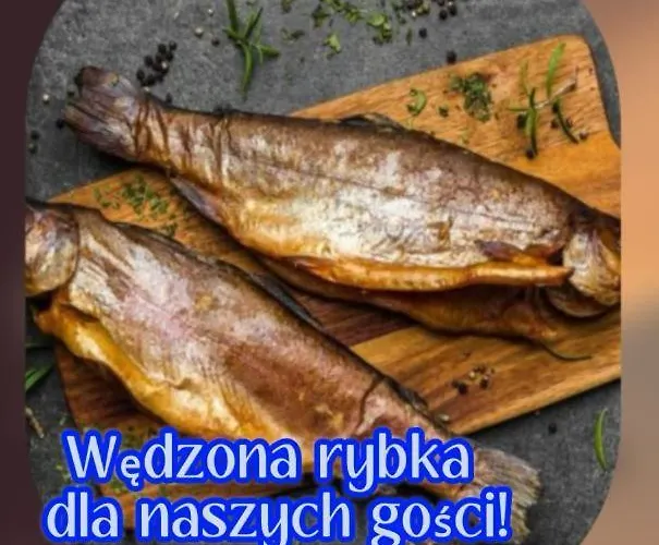 Z Bala - Ogrzewane - Jacuzzi, Sauna, Lody, Popcorn, Ryba Wedzona I Ognisko W Cenie!